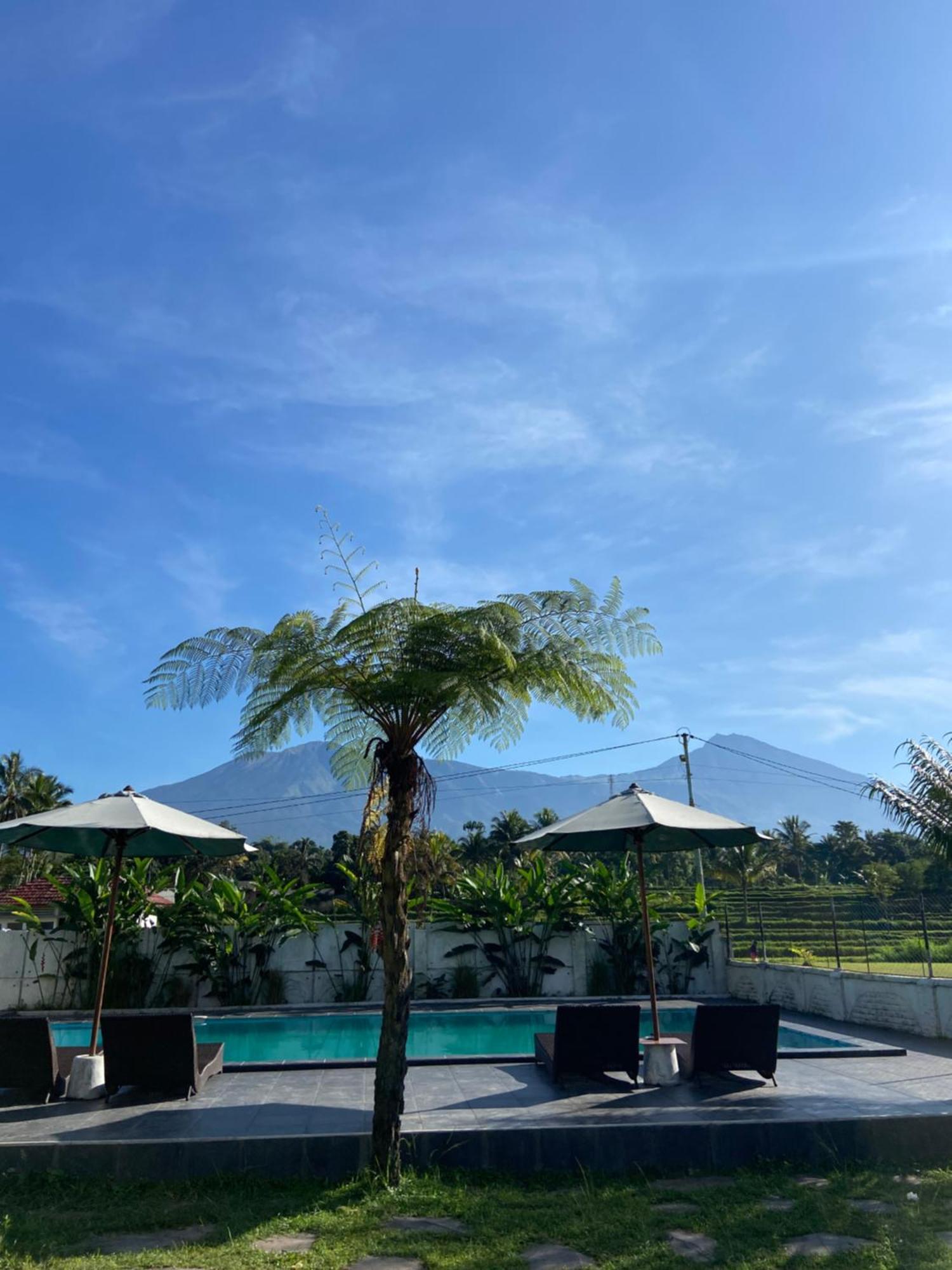 Pondok Tetebatu Cottages And Cafe מראה חיצוני תמונה